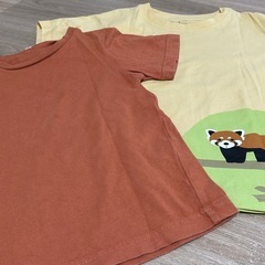 110cm 半袖🐻