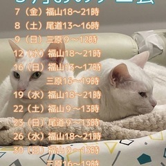 ３月おのテニ会（尾道ソフトテニスの会）2025 - 尾道市