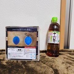 ワンピース　ルームライトアワアワの実の画像