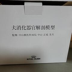 犬　消化器官の模型　ロイヤルカナン　の画像