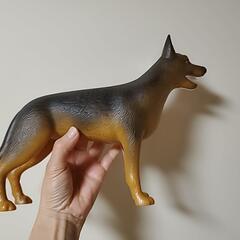 犬　消化器官の模型　ロイヤルカナン　の画像