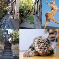 八千代市米本:猫と暮らせます✭✭猫好きな方大歓迎𓃠 6DK 御屋敷みたいで広くて素敵✡✡ - 八千代市