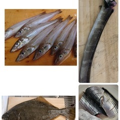関東釣り好き 千葉県周辺 メンバー募集中🎣 − 千葉県