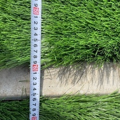 人工芝　160×270cm 芝長50mmの画像