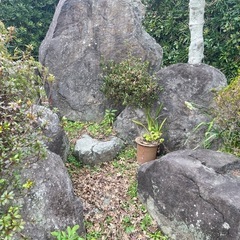 築山の石
