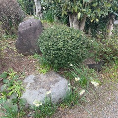 築山の石の画像