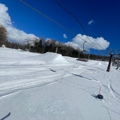 スキー場相乗り募集 - スポーツ