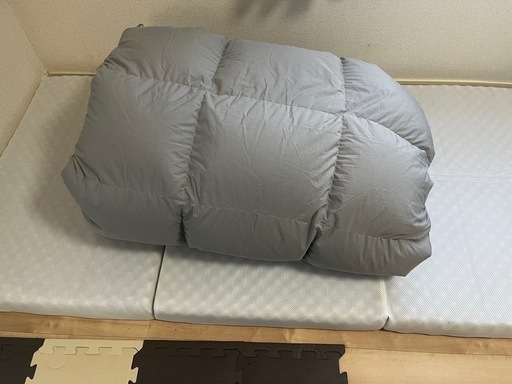 NITORI ダウン掛け布団 190x210cm 値段交渉可 交渉可】羽毛 NITORI ダウン掛け布団 190x210cm 値段交渉可 ふんわり