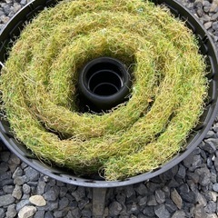 屋外 池　濾過装置　ウォータークリーナー清流1号の画像