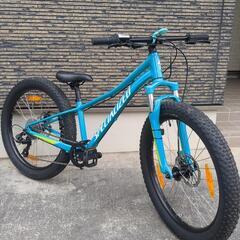 SPECIALIZED RIPROCK 24の画像