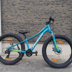SPECIALIZED RIPROCK 24