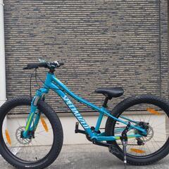 SPECIALIZED RIPROCK 24の画像