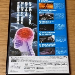 【DVD】THE人体の画像