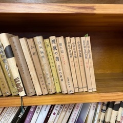 書籍、図鑑、美術本、資料等②の画像
