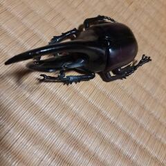 ヘラクレスカブト虫　人形