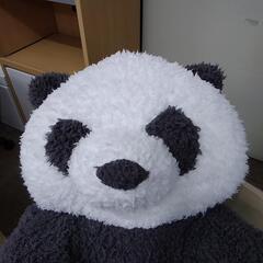 ジェラートピケパンダ抱き枕　(82738)　値下げしました！の画像