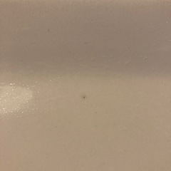 白角皿＆白食器セットの画像