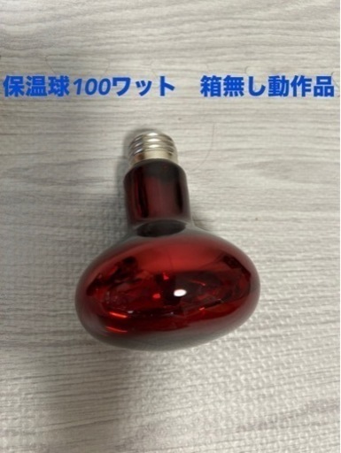 値下げしました‼️爬虫類飼育用品単品でも大丈夫です‼️