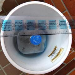 【観葉植物用陶器製鉢カバー（逆円錐形S）】カラー：クリアホワイトの画像