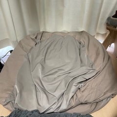 【お値下げ交渉歓迎❗️】ビーズクッション