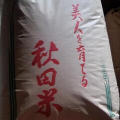 【取引中】R6年産 あきたこまち 玄米 30㎏ (L)