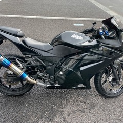 カワサキ　ニンジャ250rの画像