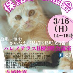 【さいたま市見沼区】3/16㈰ハレノテラス保護猫譲渡会