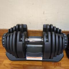 応募多数の為一旦停止します。アジャスタブルダンベル40kg 2つセットの画像