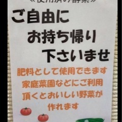 ヒノキの酵素風呂(土壌改良材)の使用
済おがくず差し上げますの画像