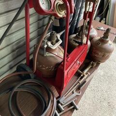 ウミサソリ 化石 [Z517] ユーリプテルス