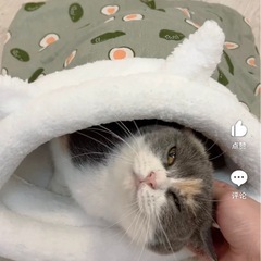 猫、子犬などの寝袋　アボカド