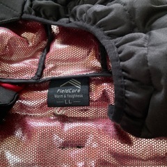 メンズ　ダウンジャケット　LLの画像