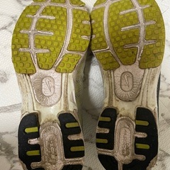 ナイキ　エアズーム（26㎝）の画像
