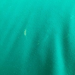 Yogibo セット　　サポート　ミディの画像