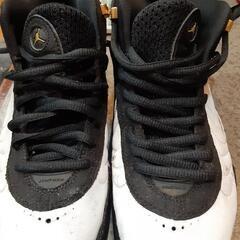 NIKEジョーダンジャンプマンプロ