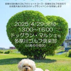 ☆ドッグイベント出店者募集☆TAMAGAWA DOG＆GOLF