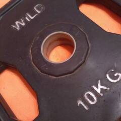 【引渡し限定】WILD.FIT■10ｋｇ■50ｍｍ■オリンピックプレート■2穴■握りやすいラバーグリップ■バーベル■筋トレボディビル■ワイルドフィット■配送不可の画像