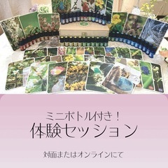 モニター価格♪【心身のお悩みに】ドイツの自然療法🌿ゼリツィン®エ...