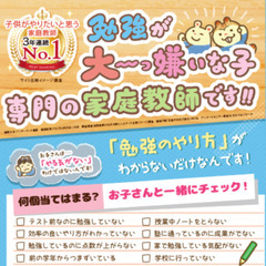 【広島県広島市西区】家庭教師のわっふる（株式会社HAKU）勉強が大っ嫌いな子専門の家庭教師｜34104の画像