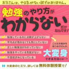【広島県広島市西区】家庭教師のわっふる（株式会社HAKU）勉強が大っ嫌いな子専門の家庭教師｜34104の画像