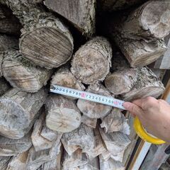 【早いもの勝ち】なしの薪　軽トラ山盛りOK１台販売　お好きな薪をどうぞの画像
