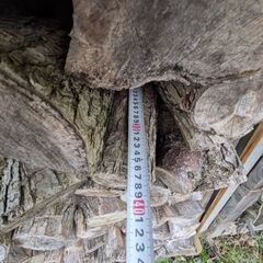 【早いもの勝ち】なしの薪　軽トラ山盛りOK１台販売　お好きな薪をどうぞの画像