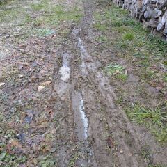 【早いもの勝ち】なしの薪　軽トラ山盛りOK１台販売　お好きな薪をどうぞの画像