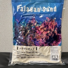 パラワンサンド　天然サンゴの白い砂