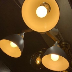 8435】大光電機 LED3灯ペンダント照明 2022年製 LED ペンダント照明 照明 照明器具 ホワイト 白 ブラウン ライトブラウン 茶色 シンプル おしゃれの画像