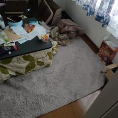 ニトリ うさぎの毛のカーペット