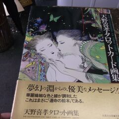 天野喜孝タロットカード画集 [jp_oversized_book...