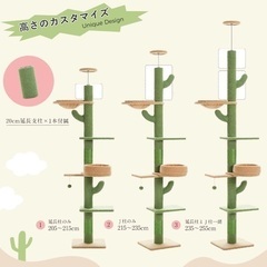 【譲渡先決定済み】サボテンキャットタワー 突っ張り スリム 極太支柱10.2cm サボテン 爪研ぎの画像