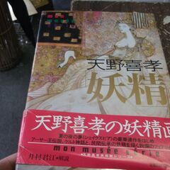 天野喜孝妖精 (mon musee serie) [hardco...