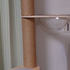 キャットタワー差し上げます
